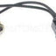 BWD S26363 Interruptor de luz de respaldo