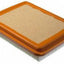 Mahle LX 591 Air Filter