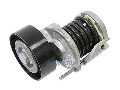 INA FT40164 Accessory Drive Belt Tensioner Assembly