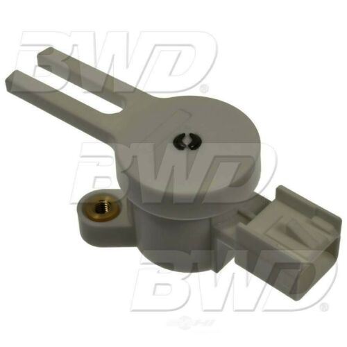 BWD S42065