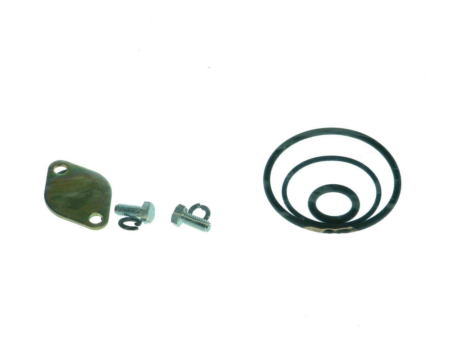 Saleri PA838 Engine Water Pump