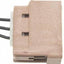 BWD PT5599 Brake / Tail / Turn Signal Light Connector