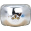 Philips H6054C1 Headlight Bulb