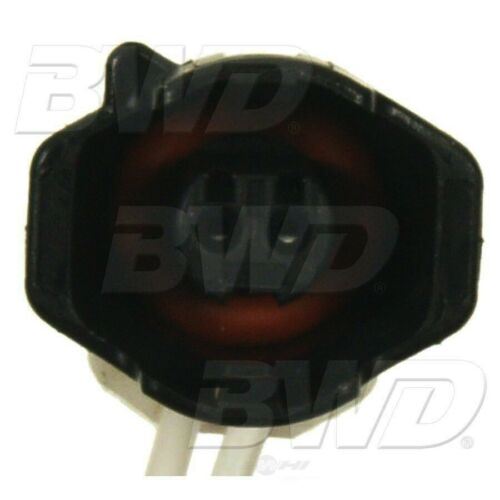 Conector del sensor de temperatura de carga de aire BWD PT668