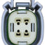 NGK 22146 Sensor de Oxígeno