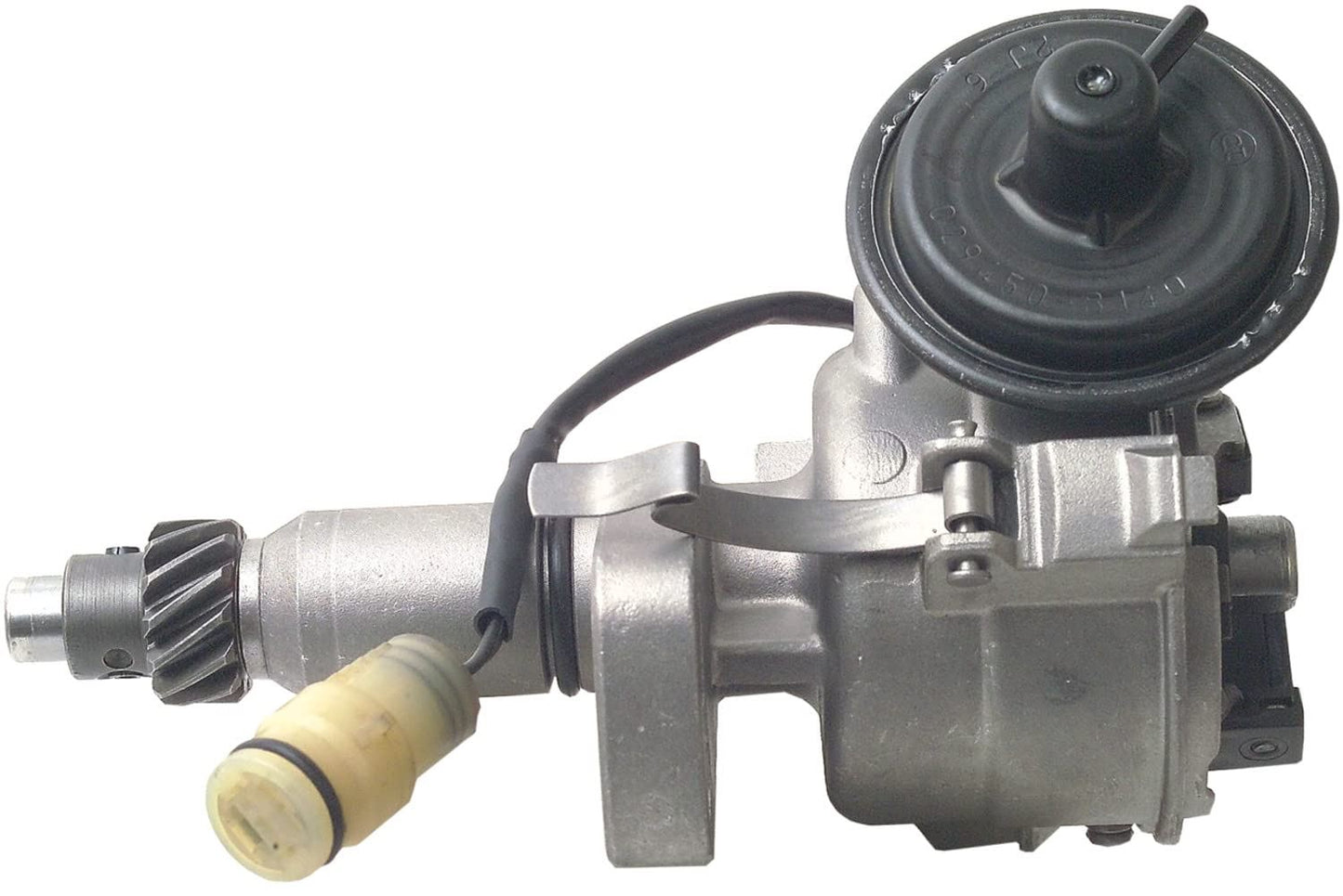 CARDÓN 31525