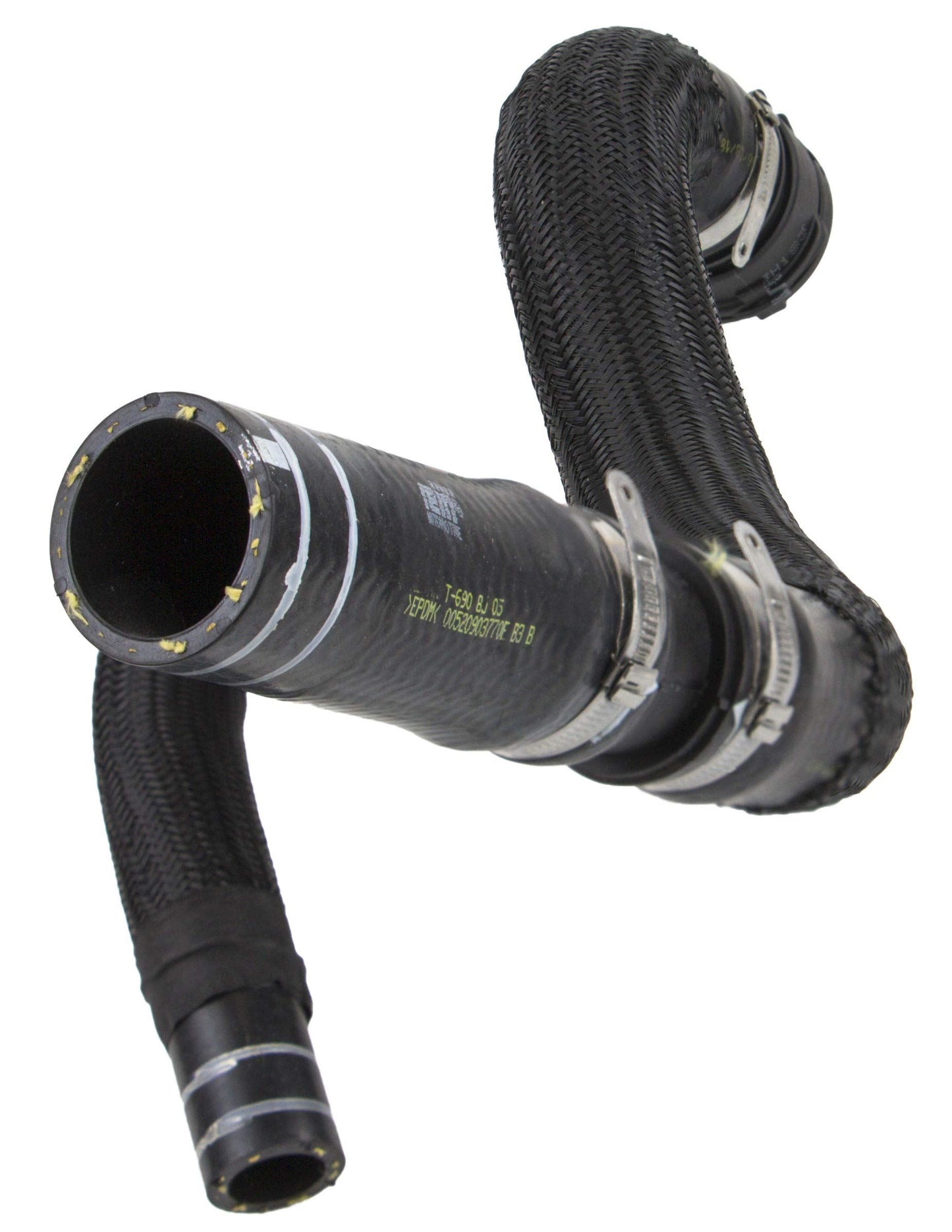 REIN CHR0673