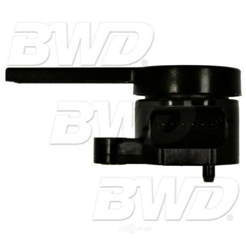 BWD S42074