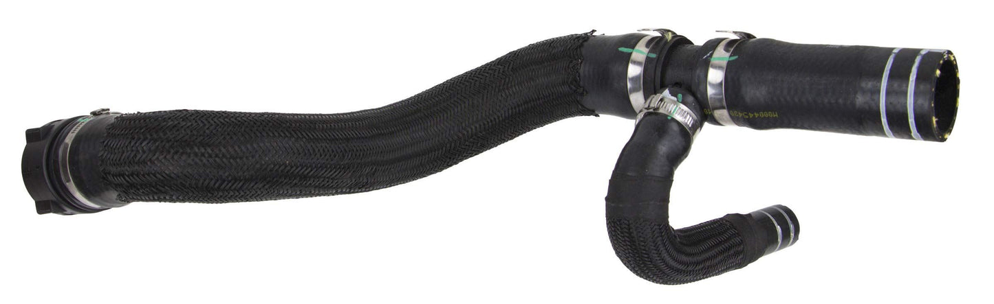 REIN CHR0673