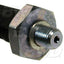 BWD S4351 Engine Oil Pressure Switch