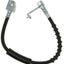 Raybestos BH382946 Brake Hydraulic Hose
