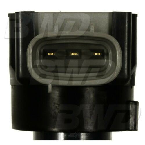 BWD E1134 Ignition Coil