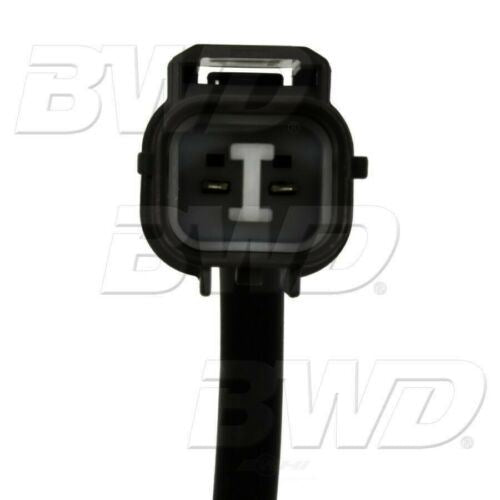 Capteur de température du liquide de transmission automatique BWD WT5234