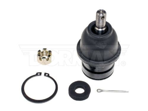 Dorman B7155PR Rotule de suspension