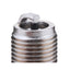 AUTOLITE 4062 (Pack of 4)