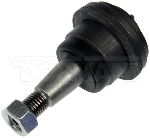 Dorman BJ81166PR