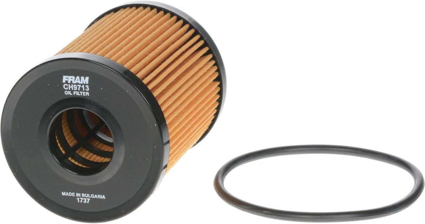 Fram CH9713 Engine Oil Filter