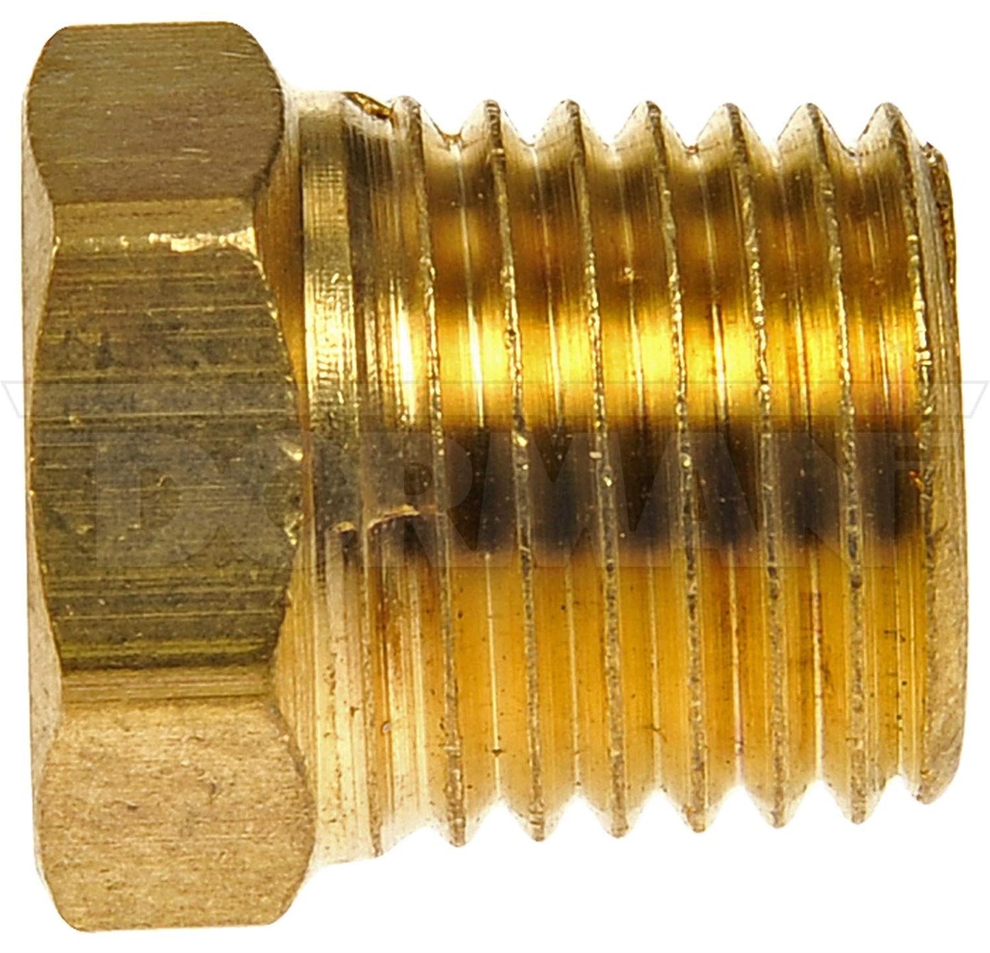 Dorman 785-422D Bouchon de tuyau