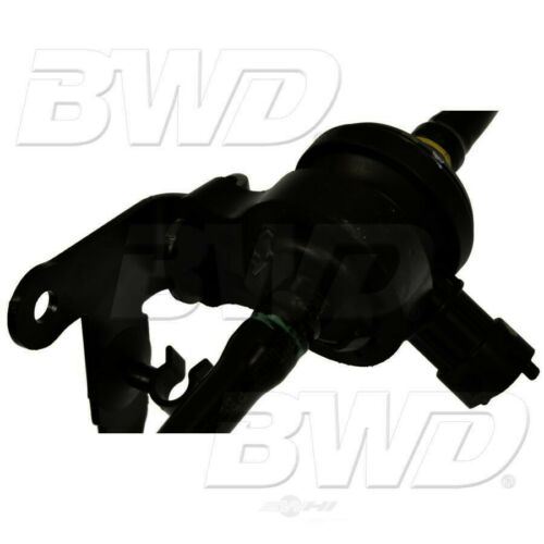 Solenoide de purga del recipiente de vapor BWD CP894