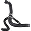 REIN CHR0674