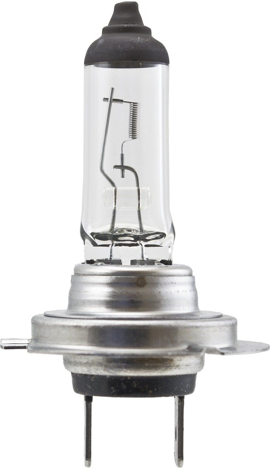 Hella H7 100W Headlight Bulb