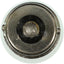 Ampoule de coffre Wagner 1003 (PAQUET DE 10)