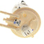 Genuine GM Parts MU1749 Fuel Pump Module Assembly