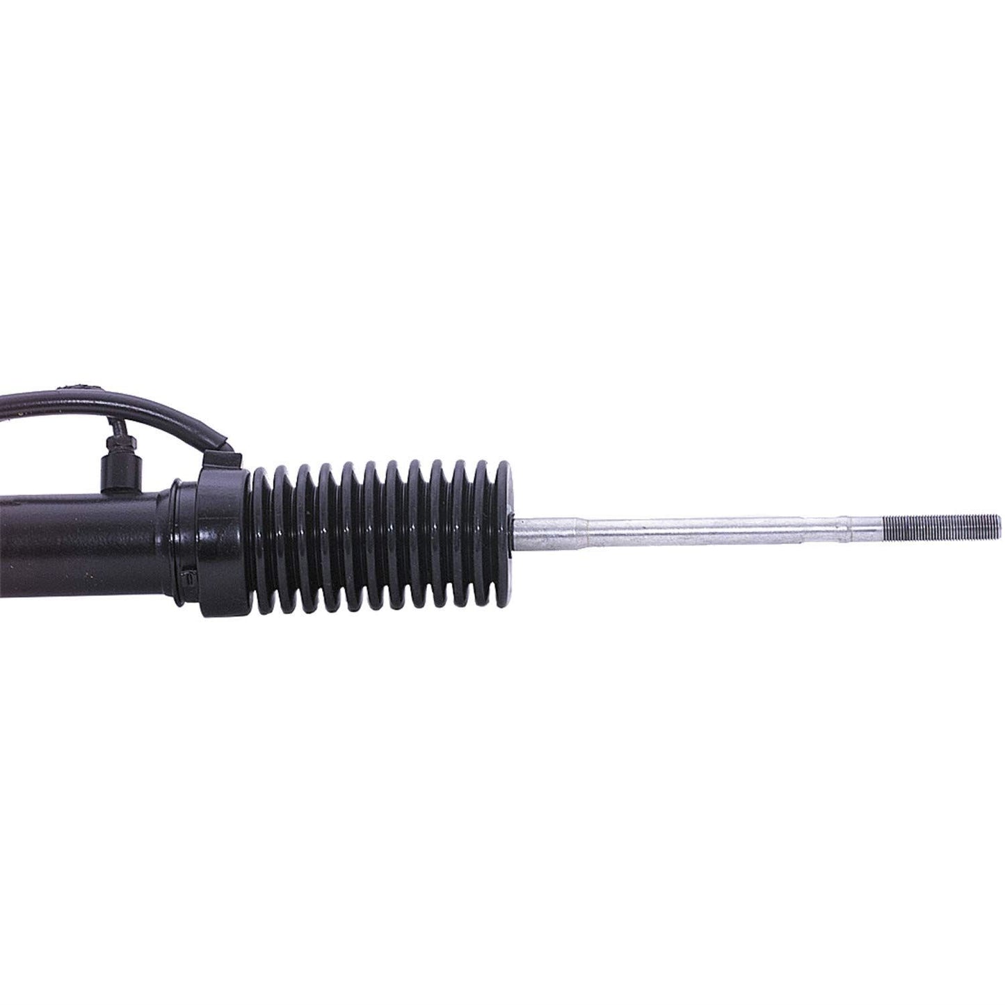 CARDON 261861