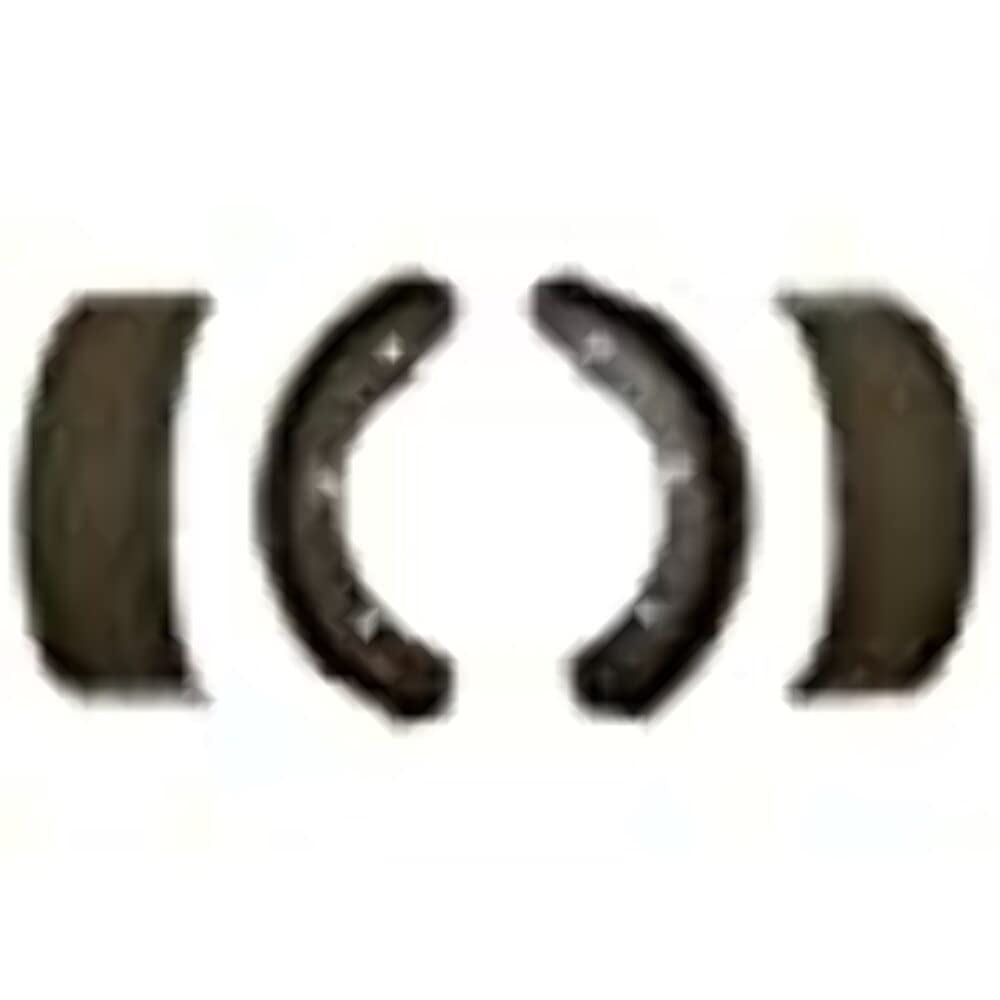 RAYBESTOS1050PG