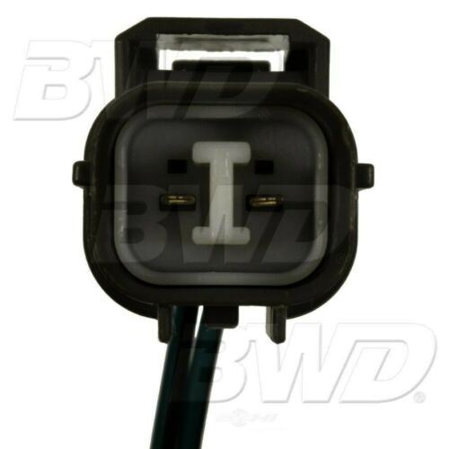 BWD S26331 Interruptor de luz de respaldo