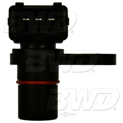 BWD CSS2101