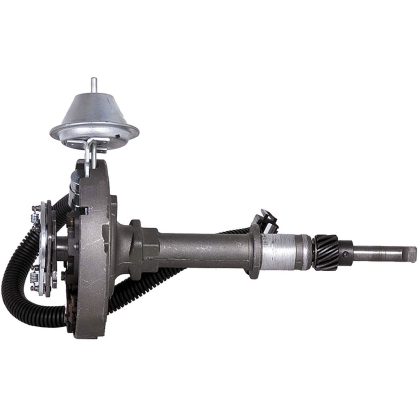 CARDON 301691