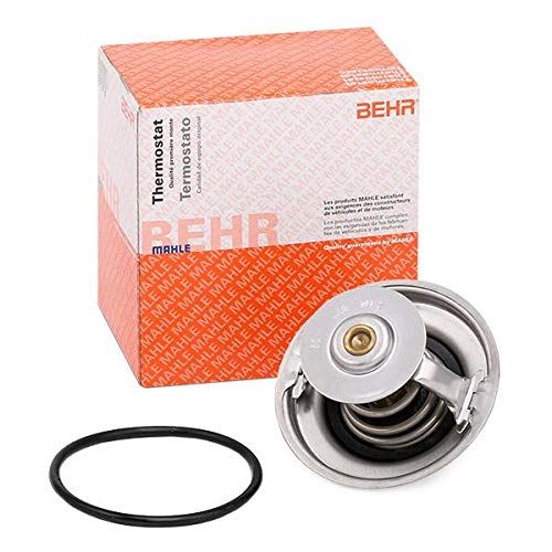 Termostato Refrigerante Motor Mahle TX 25 87D