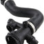 REIN CHR0186