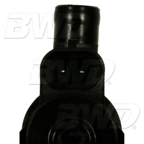 Solenoide de ventilación del recipiente de vapor BWD CPV84