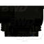 BWD PPS1210 Accelerator Pedal Sensor