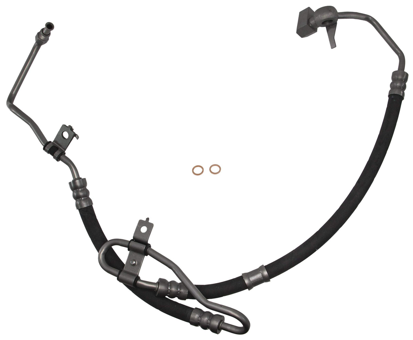 REIN PSH0554