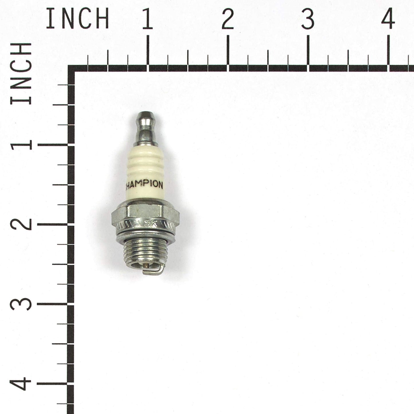 CAMPEÓN 8431 (PACK DE 4)