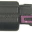 Conector de bobina de encendido BWD PT1087