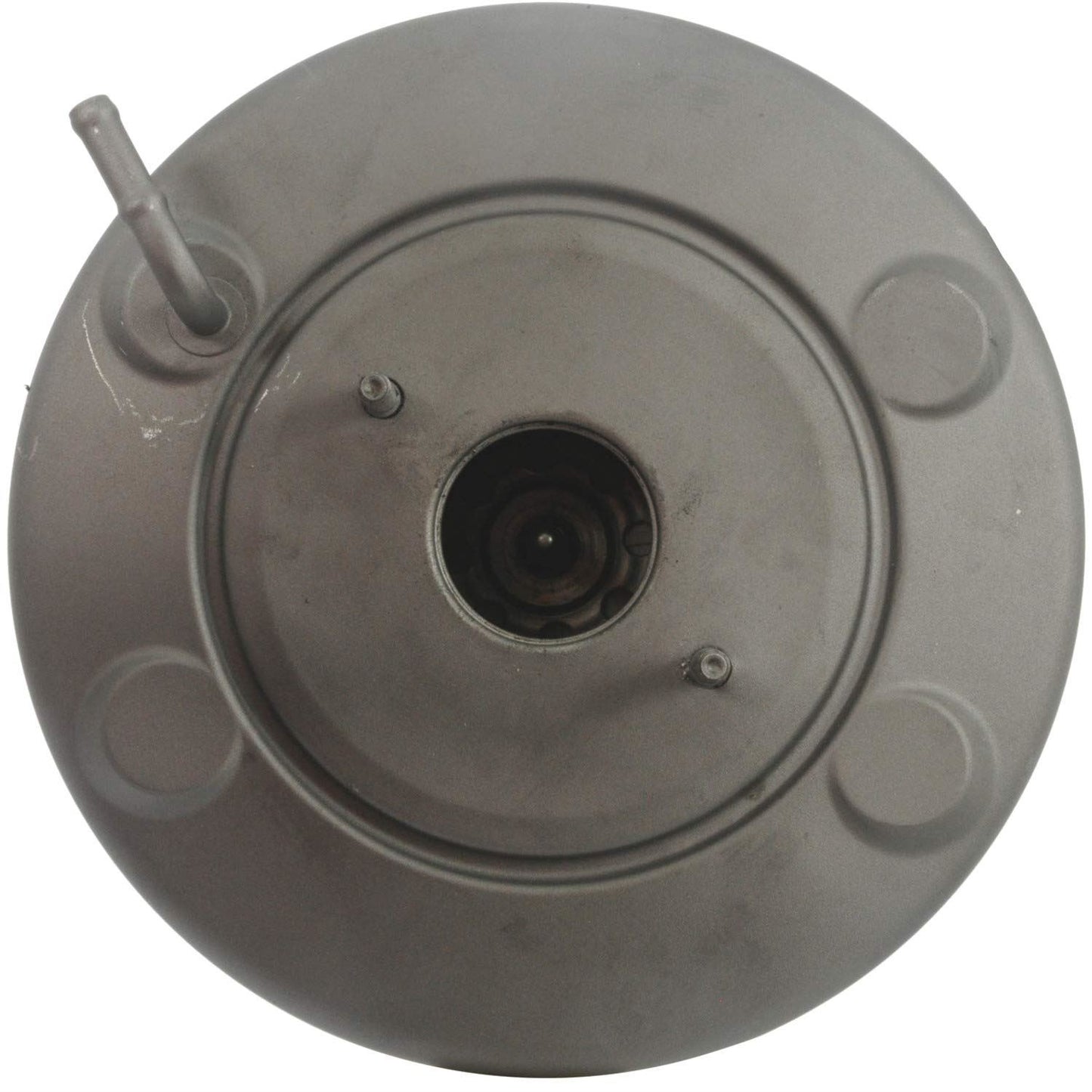 CARDÓN 536843