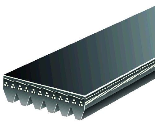 Gates K060725 Serpentine Belt
