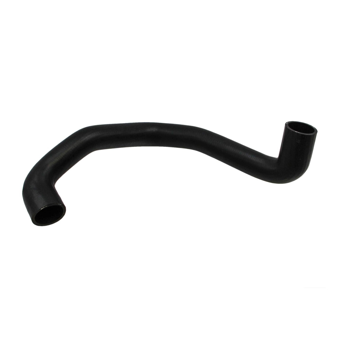 REIN CHR0433
