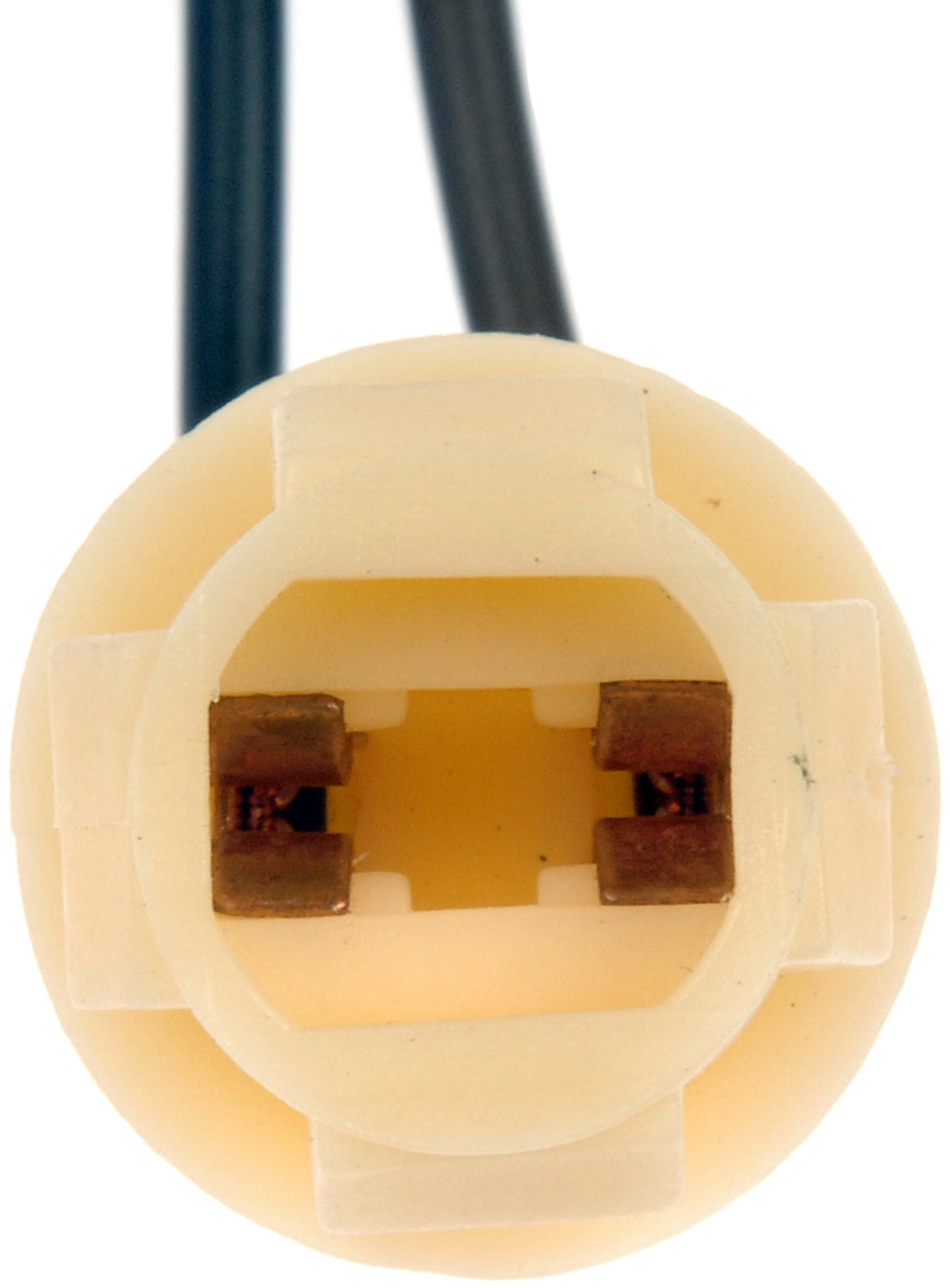 Dorman 85816 License Plate Light Socket