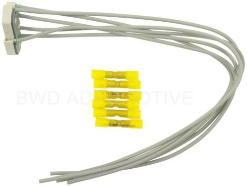 Conector del interruptor de la ventana de la puerta BWD PT638