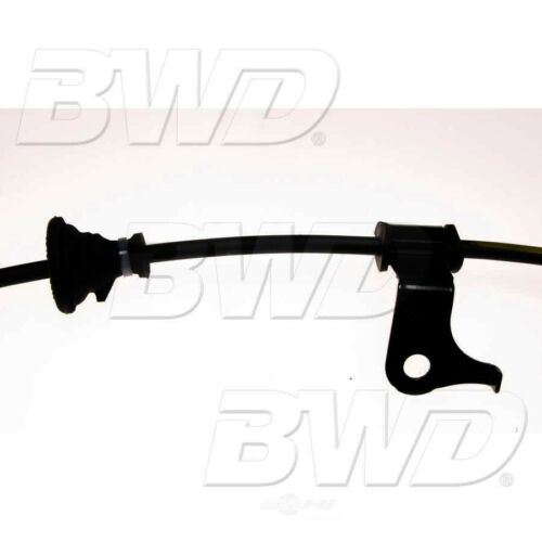 BWD ABH33