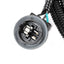 Genuine GM Parts 25958495 Tail Light Wiring Harness
