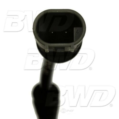 BWD WS492