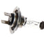 Bombilla para faros delanteros Hella H7