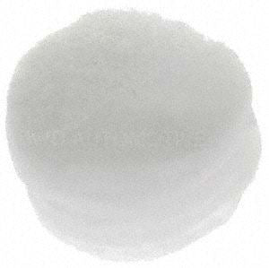 BWD EC224 Vapor Canister Filter