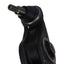 Beck/Arnley 102-6145 Bras de commande de suspension et joint à rotule